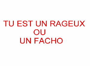 pour les foutaisi&eacute;s